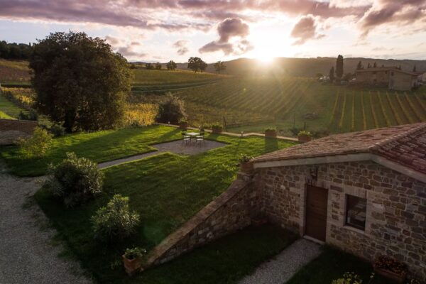 VIP Private Montalcino Wine Tasting in Paradiso With Dinner - Customer Reviews and Ratings