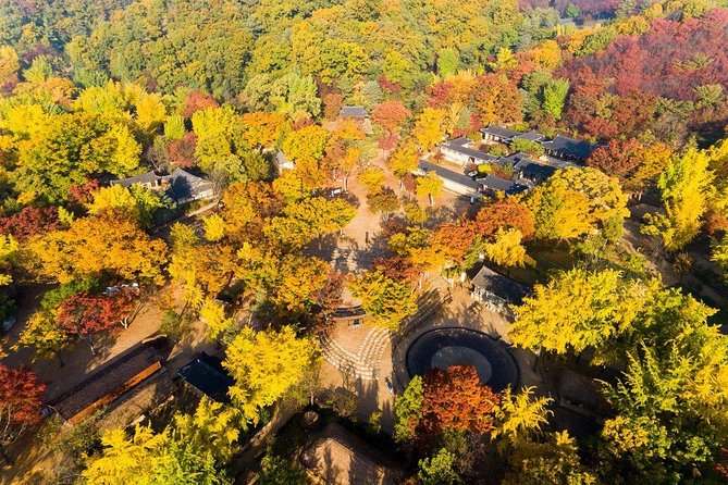 VIP Private Nami Island & Petite France & Garden of Morning Calm - Engaging Activities at Each Destination