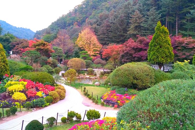 VIP Private Nami Island & Petite France & Garden of Morning Calm - Options for Children to Enjoy