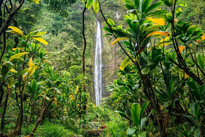 VIP Private Road to Hana Tour With Pick up - Immerse Yourself in Hawaiian Culture
