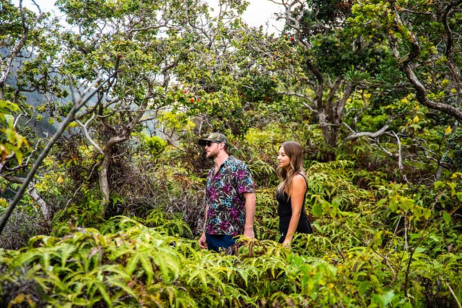 VIP Private Road to Hana Tour With Pick up - Enjoy Complimentary Door-To-Door Service on Maui