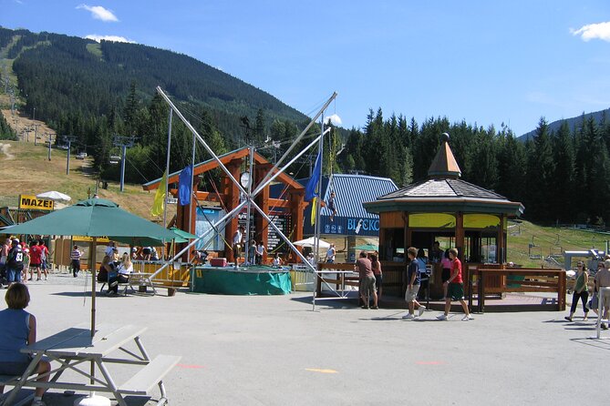 VIP Private Sedan Transfer Whistler BC to Vancouver Intl. Airport - Additional Information and Requirements