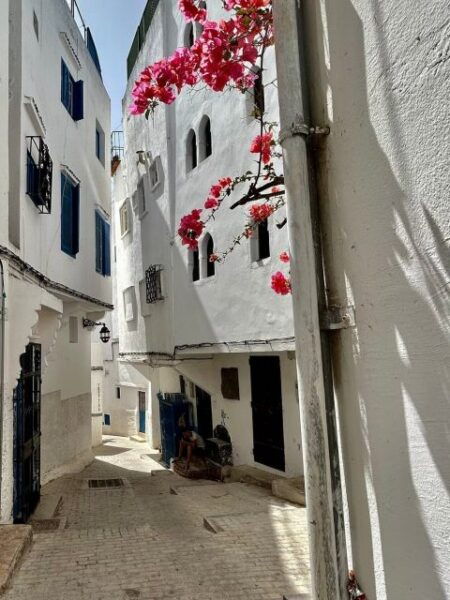 Vip Private Tangier Tour From Cadiz With Ali All Included - What to Pack