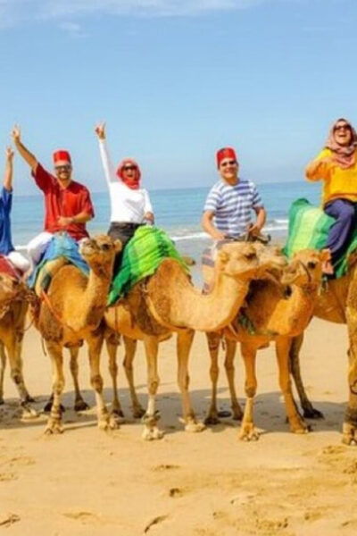 Vip Private Tangier Tour From Estepona With Ali All Included - Languages and Cancellation
