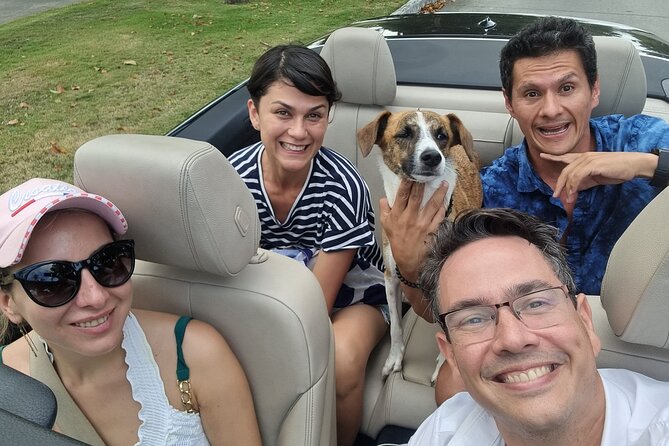 VIP Private Tour in a BMW Convertible, Feel Like a Movie Star!! - Capacity and Trunk Space