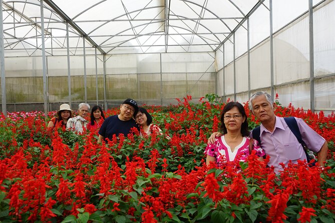 VIP Private Tour in Dalat City and Waterfall - Reviews