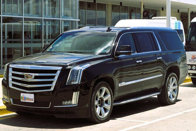 VIP Private Transfers from Punta Cana Airport to Bayahibe - Good To Know  