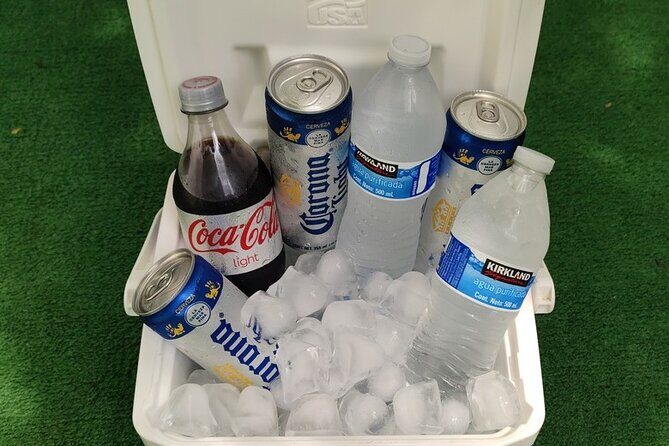 VIP Round Trip Transfer Puerto Vallarta Airport to Mismaloya Area - Who Will Love This Transfer?