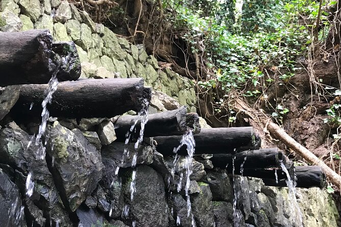 VIP Route Through La Gomera - Pickup and Meeting Details