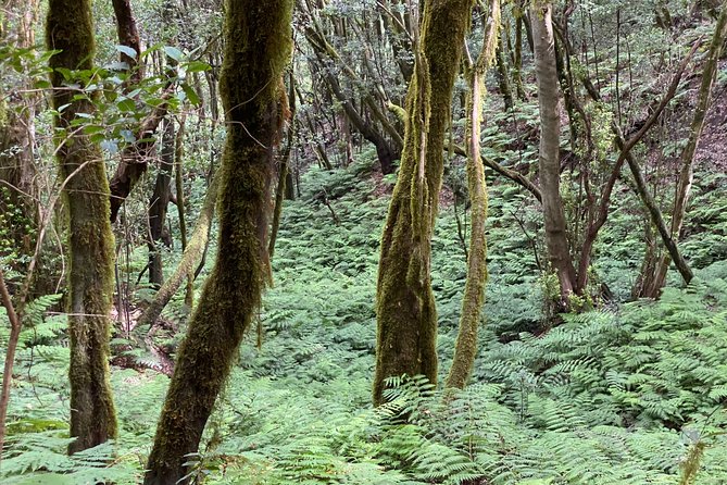 VIP Route Through La Gomera - Additional Information