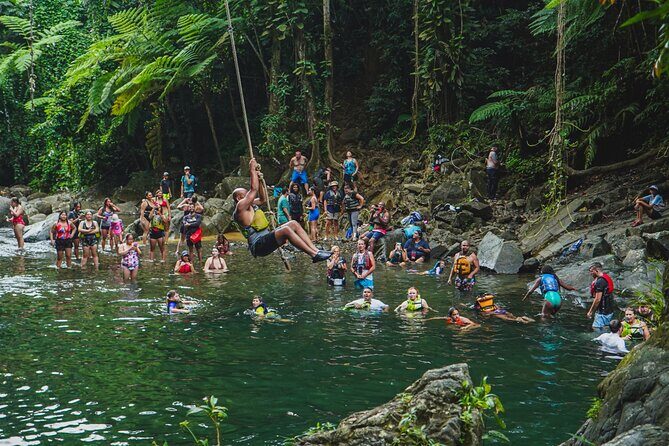VIP Small Group El Yunque Rainforest Adventure - Authentic Reviews: Voices from Travelers
