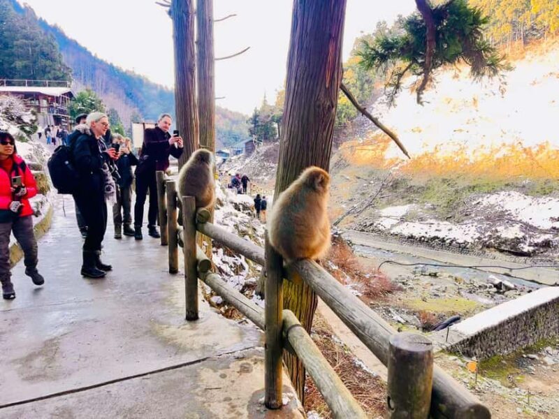 VIP Snow Monkey Park & Zenkoji Temple One Day Private Tour - FAQ