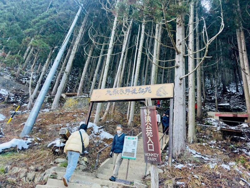 VIP Snow Monkey Park & Zenkoji Temple One Day Private Tour - FAQs