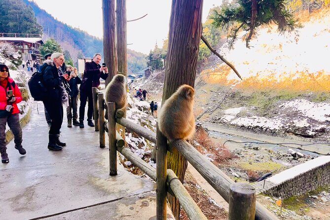 VIP Snow Monkeys Park Customized Private One Day Tour - Breaking Down the Itinerary