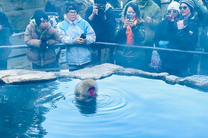 VIP Snow Monkeys Park Customized Private One Day Tour - Good To Know