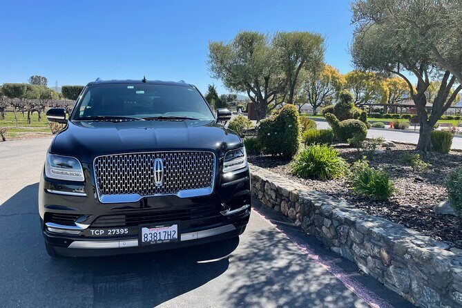 VIP SUV-LUX Wine Tour for 8 hr up to 6 People - An In-Depth Look at the VIP SUV-LUX Wine Tour Experience