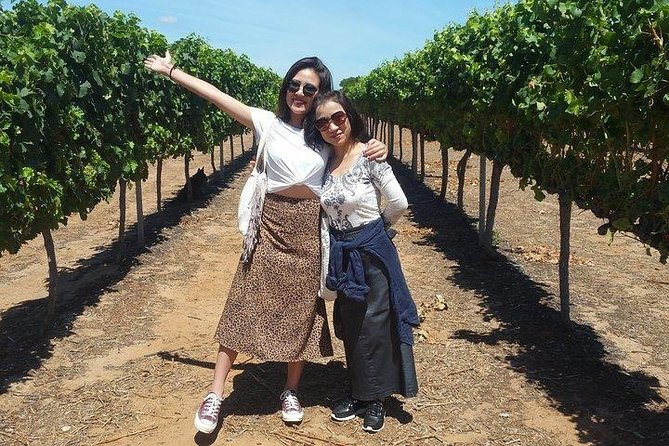 VIP Swan Valley Wine Tour - Premium Small Group Wine & Gourmet Experience - Reviews and Testimonials