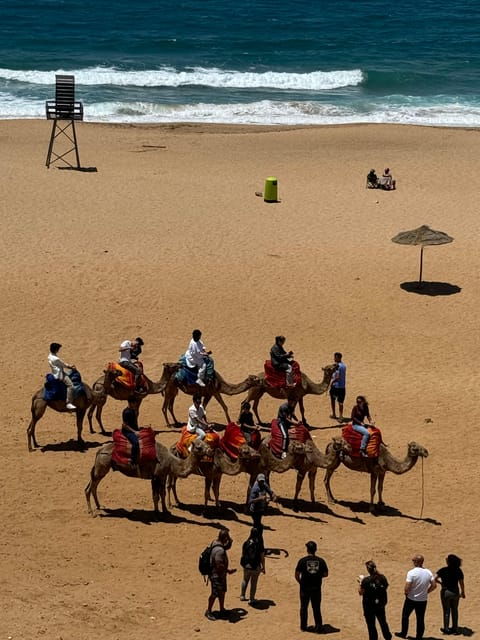 Vip Tangier Day Tour From the Spain Tarifa , - Included Features