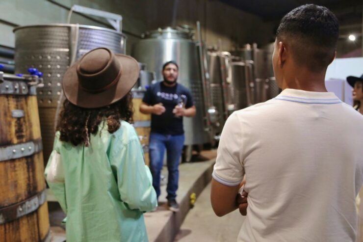 Vip Tasting - VIP Tasting Experience Overview