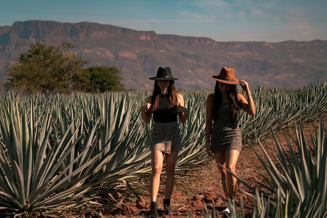 Vip Tequila Experience - The Sum Up