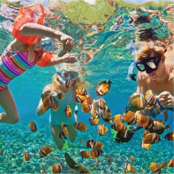 Vip Tour 3 Islands Nha Trang - Mud Bath - Booking and Cancellation Policy