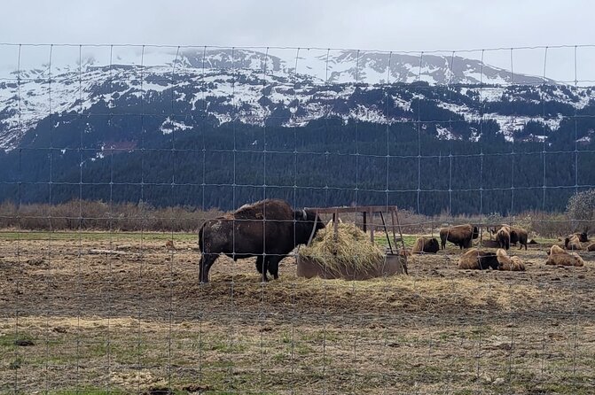 VIP Tour From Anchorage to Alaska Wildlife Conservation Center - Tour Logistics