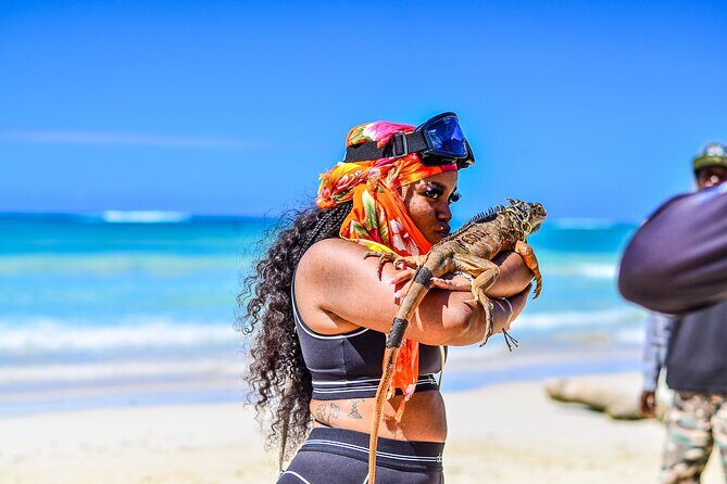 VIP Tour in Punta Cana ATV or Buggy by the Mud - The Sum Up