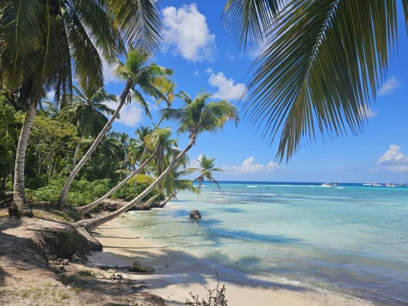 VIP tour to Saona Island by speedboat with a visit to paradise beaches - Authentic Experiences and Highlights