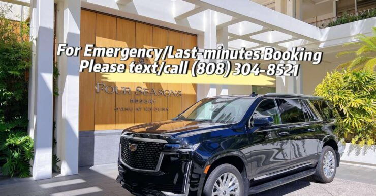 VIP Transfer: Ko Olina to Honolulu Airport or Vice Versa - Service Details