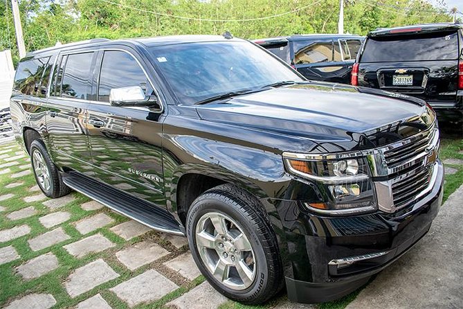 VIP Transfer Punta Cana Airport to Punta Cana & Bavaro Hotels (Not Uvero Alto) - Whats Included in the Service