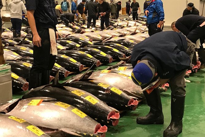 VIP Tuna Auction and Special Access at Toyosu Fish Market - Overview of Toyosu Fish Market