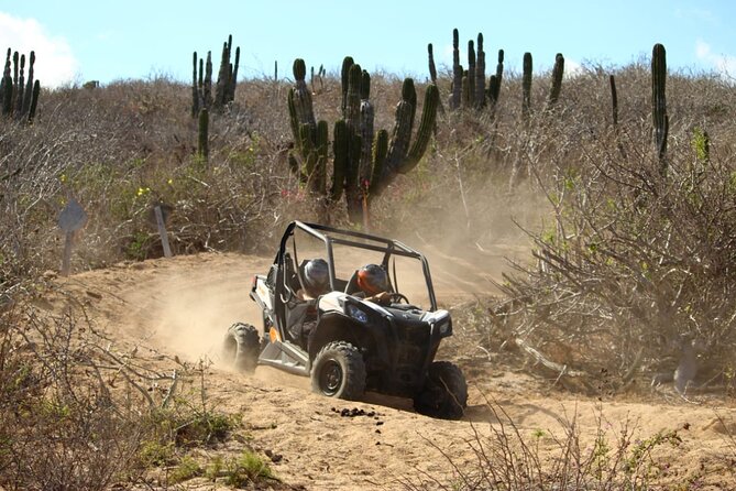 Viper Trail UTV Small-Group Experience in Cabo San Lucas - Cancellation Policy