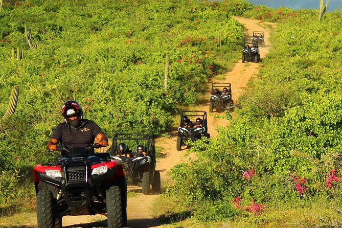 Viper Trail UTV Small-Group Experience in Cabo San Lucas - Common Questions