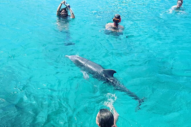 Virgin Islands Full-Day Private Yacht Charter  - St Thomas - Snorkeling and Water Activities