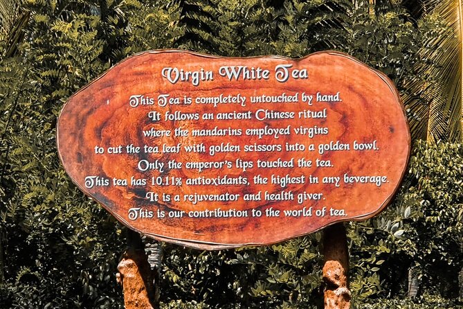 Virgin White Tea Factory and Galle Fort From Colombo - Additional Information