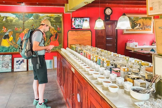 Virgin White Tea Factory and Galle Fort From Colombo - Reviews and Ratings