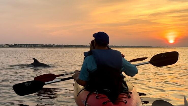 Virginia Beach: Dolphin Watching Guided Kayaking Tour - Activity Details
