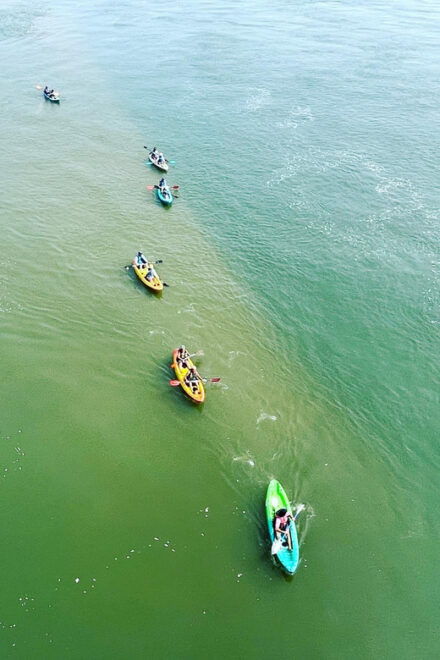 Virginia Beach: Dolphin Watching Guided Kayaking Tour - Booking and Cancellation