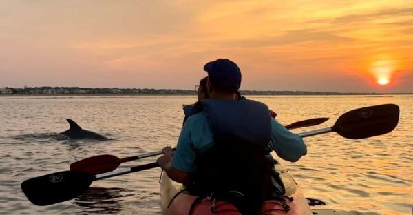 Virginia Beach: Dolphin Watching Guided Kayaking Tour - Frequently Asked Questions