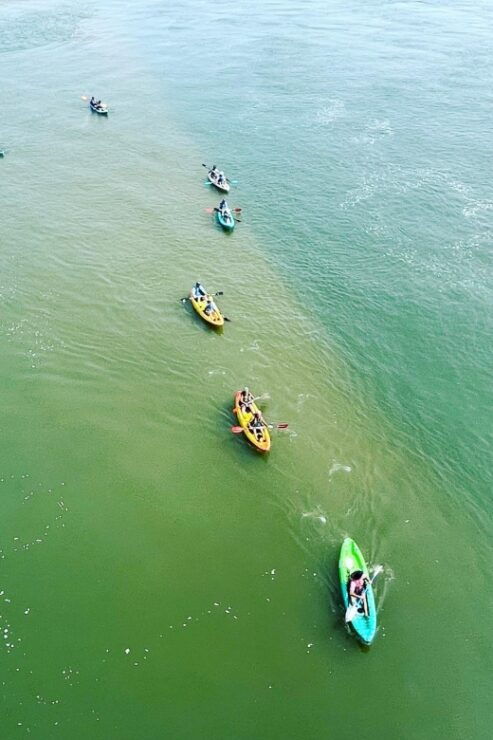 Virginia Beach: Kayak Dolphin Tours | Must Know How to Swim - Tour Details