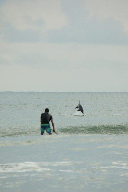 Virginia Beach: Private SUP Ocean Dolphin Adventure - Good To Know