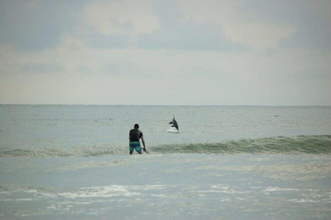 Virginia Beach: Private SUP Ocean Dolphin Adventure - Preparation and Meeting Details
