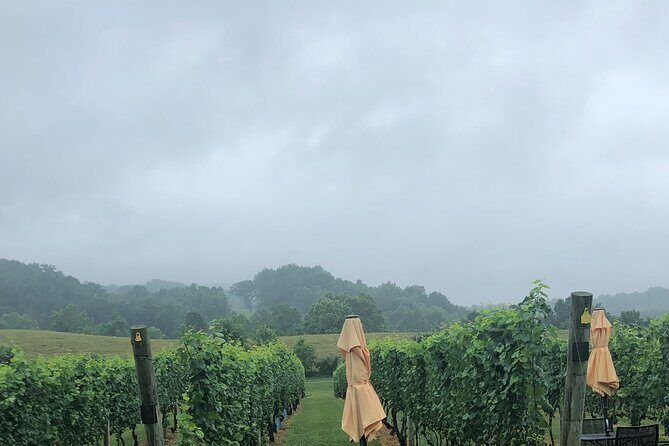 Virginia Winery Excursion by Luxury Vehicle Three wineries - The Itinerary Breakdown: What to Expect