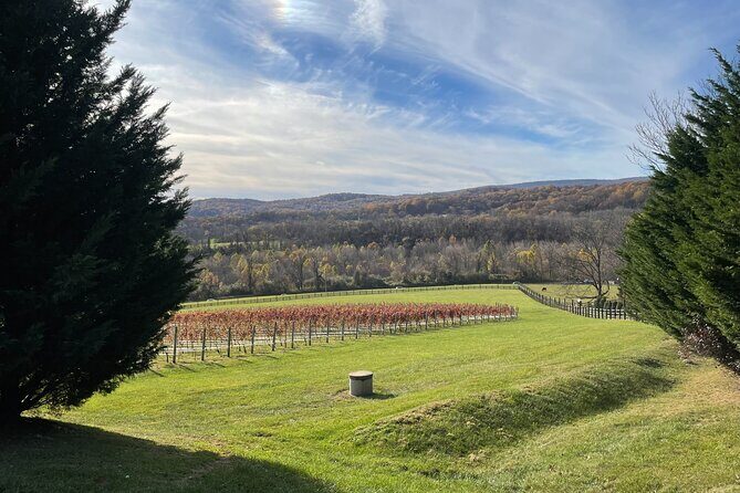 Virginia Winery Excursion by Luxury Vehicle Three wineries - The Sum Up