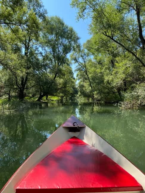 Virpazar: Amazon wilderness speed boat cruise - Good To Know