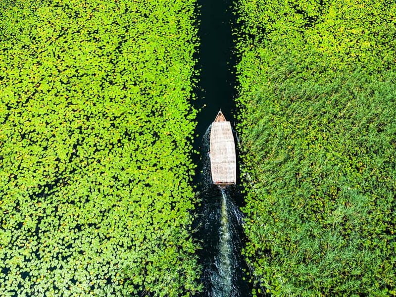Virpazar: Lake Skadar Private Wildlife Cruise & Wine Tasting - Who Should Consider This Tour?  