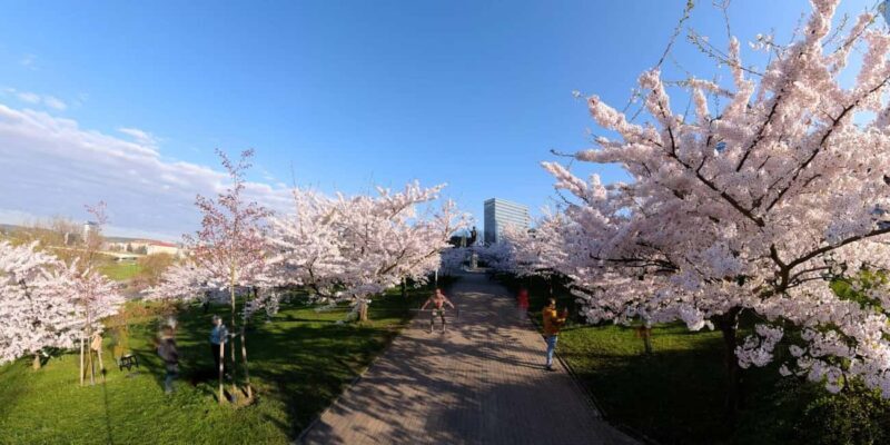 Virtual reality movie - experience I AM LITHUANIA - The Sum Up