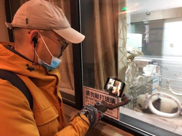 Virtual Terracotta Warriors Museum Live Tour - Features