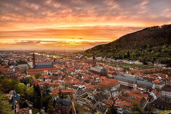 Virtual Tour of Heidelberg - Customizable Route Options