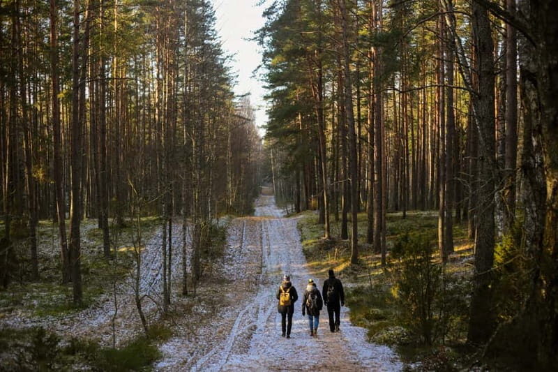 Visaginas: Wild Nature Hiking at Grauts Regional Park - Exploring Grauts Regional Park: An Authentic Nature Retreat